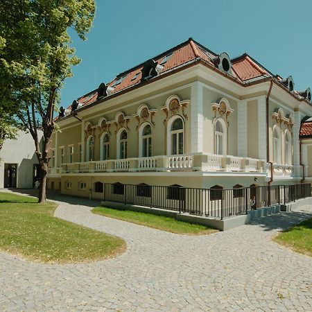 Târgu-Mureş Boutique Hotel Cocosul De Aur מראה חיצוני תמונה